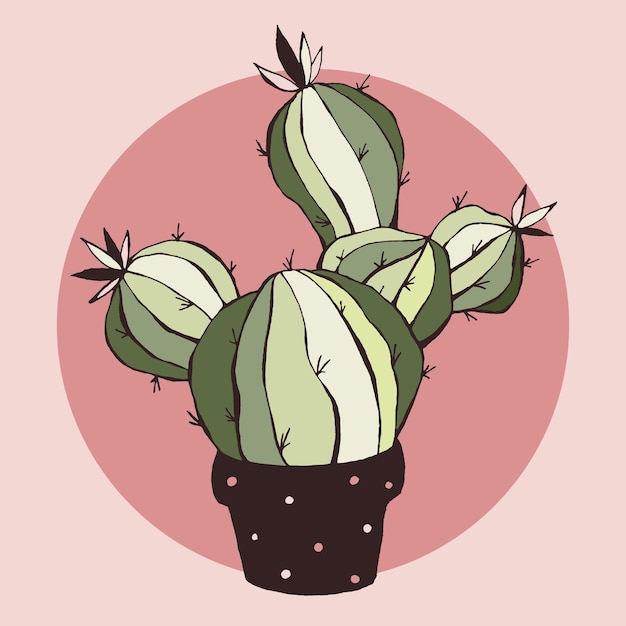 Vector lindo cactus vector dibujado a mano