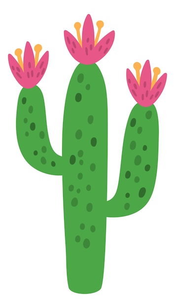 Vector lindo cactus verde suculento dibujo elemento de impresión