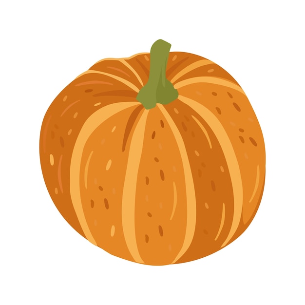 Lindo calabaza de otoño Calabaza de Halloween de otoño icono gráfico de verduras Calabaza aislada en blanco