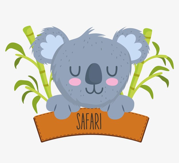 Lindo cartel de koala y safari