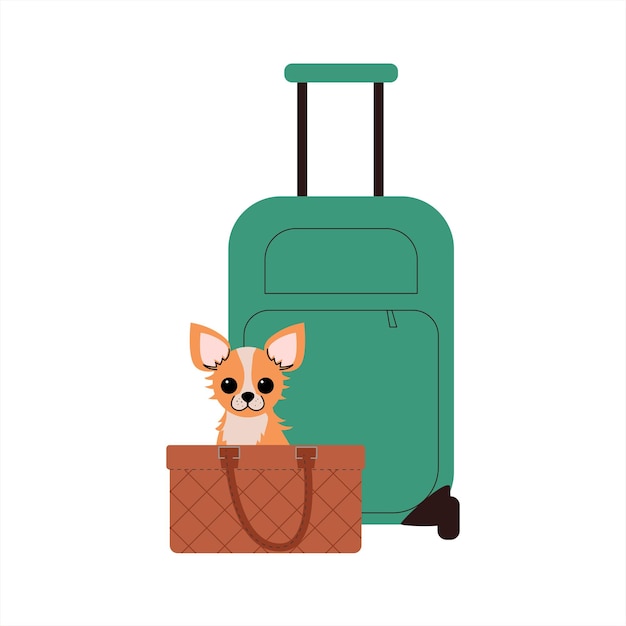 Lindo chihuahua sentado en una elegante bolsa acolchada al lado de una maleta verde adorable perro pequeño listo
