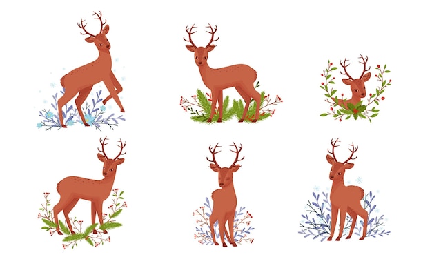 El lindo ciervo con cuernos en postura de pie con la flora de invierno debajo de él Conjunto vectorial