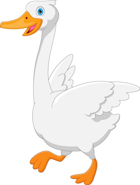 Vector lindo, cisne, caricatura, blanco, plano de fondo