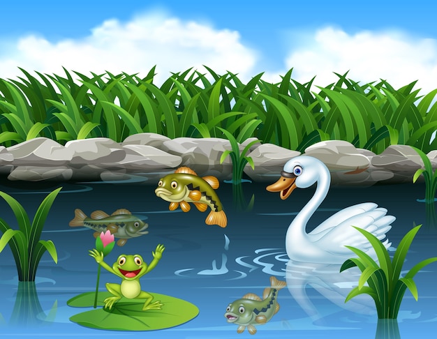Vector lindo cisne nadando en el estanque y la rana