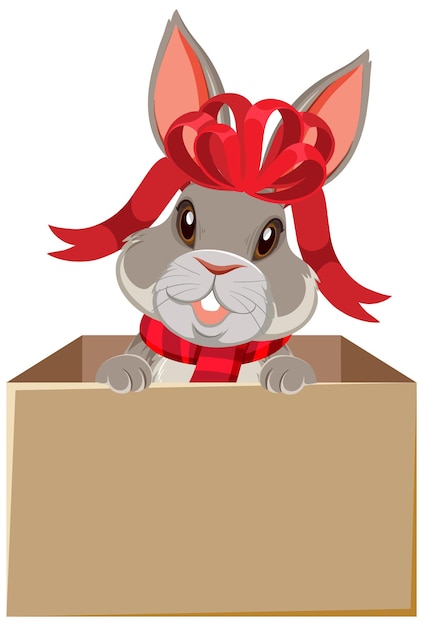Lindo conejo en la caja