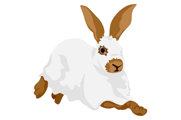 El lindo conejo de Halloween usa el disfraz de fantasma