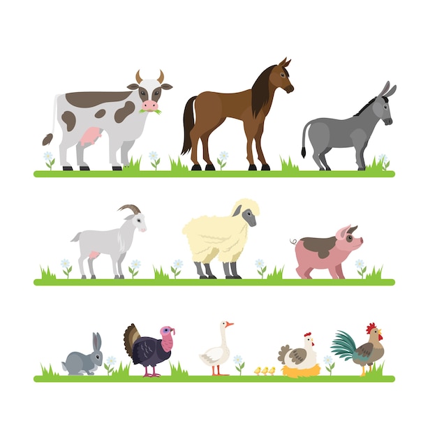 Lindo conjunto de animales de granja. Cabra, vaca, barco y otros personajes animales de pie en la hierba. Aves domésticas como gallina y ganso. ilustración
