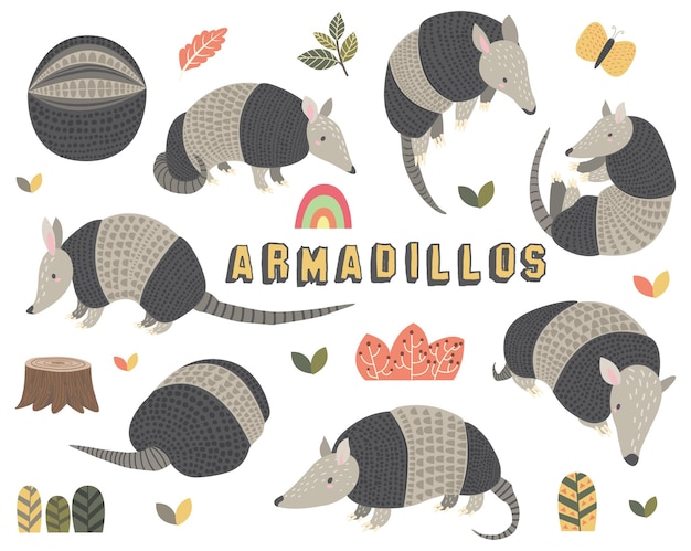 Lindo conjunto de colecciones de pequeños armadillos