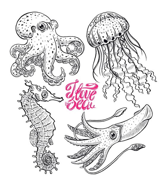 Lindo conjunto de criaturas marinas. Pulpo, medusa, calamar y caballito de mar. ilustración dibujada a mano