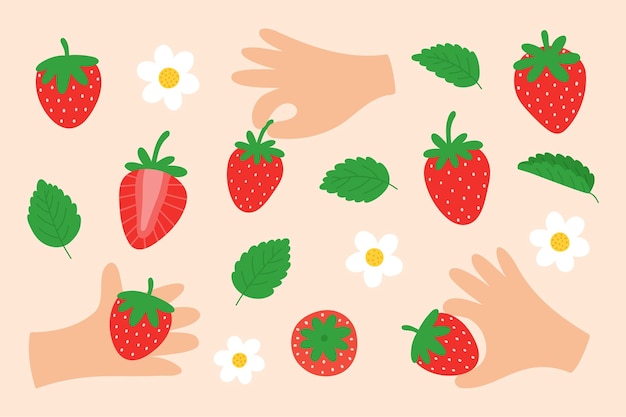 Un lindo conjunto de fresas, bayas, flores, hojas, fresas en las manos, dulces frutas de jardín.
