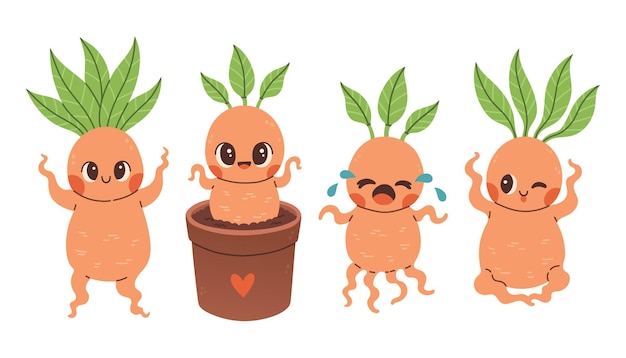 Vector lindo conjunto de mandrágoras plantas mágicas románticas ilustración de mandrágoras de dibujos animados para tarjetas adhesivas