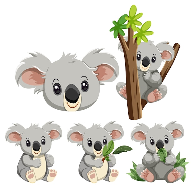 Lindo conjunto de personajes de dibujos animados de oso koala