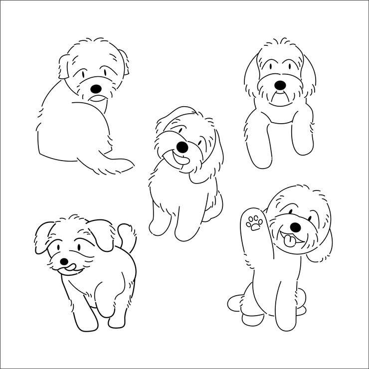 Vector lindo conjunto de vectores de arte de línea de perros maltipoo