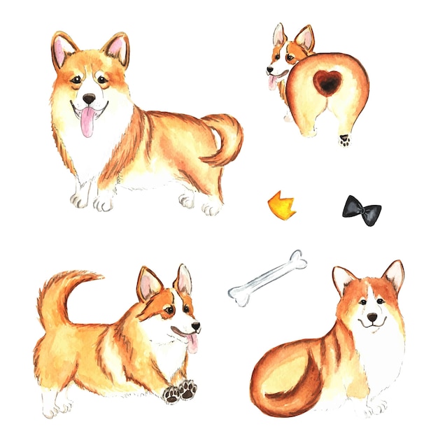 Lindo corgi clipart acuarela corgi ilustración paquete