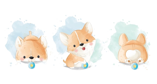 Lindo Corgi jugando con una pelota
