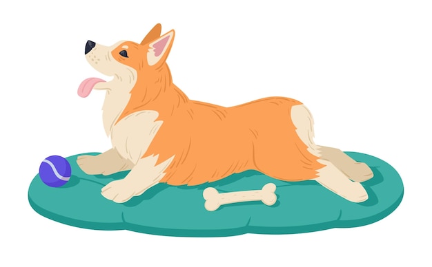 Lindo descanso corgi Dibujos animados lindo corgi perro feliz pedigrí doméstico cachorro plano vector ilustración sobre fondo blanco