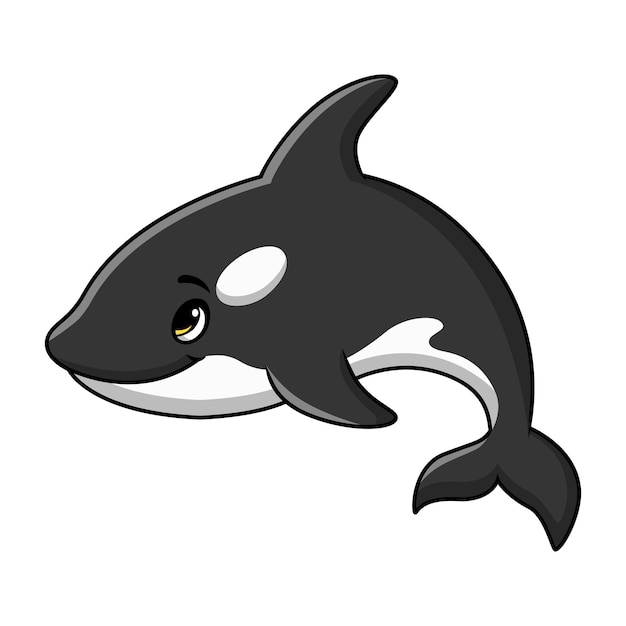 Lindo dibujo animado de ballena asesina sobre fondo blanco