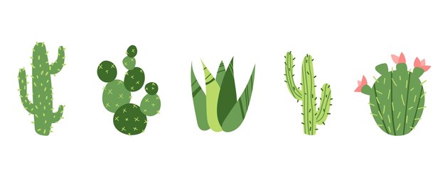 Lindo dibujo vectorial de una planta suculenta con cuernos. Doodle de dibujos animados infantiles aislado sobre fondo blanco.