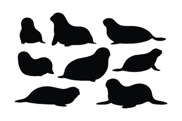 Lindo diseño de paquete de siluetas de focas Leones marinos salvajes sentados en diferentes posiciones Colección de siluetas de cuerpo completo de focas Grandes criaturas marinas y leones marinos sentados siluetas sobre un fondo blanco