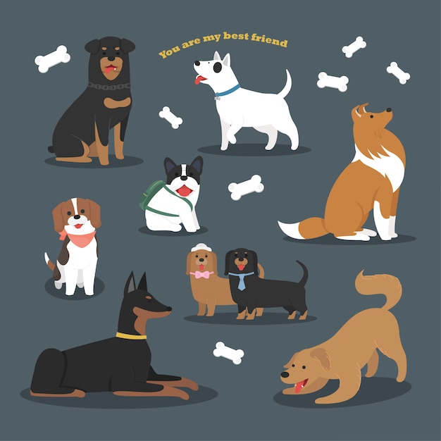 Lindo diseño de personajes planos de la colección de razas de perros.