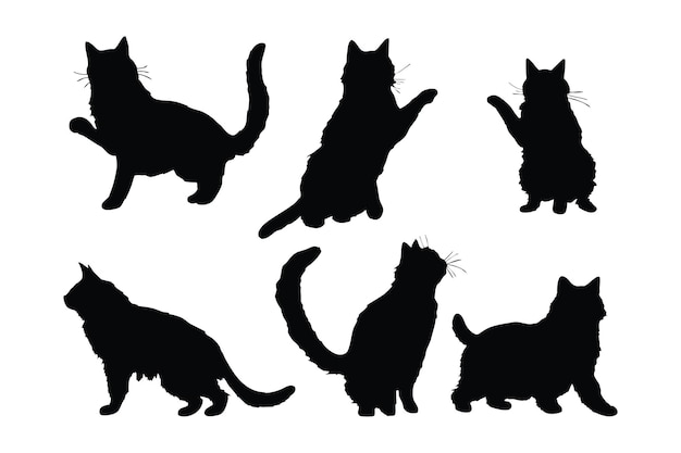 Lindo diseño de vector de gato casero sobre un fondo blanco Conjunto de silueta felina de pie vector Lindo diseño de paquete de silueta de gato sentado Colección de silueta de gato de pie en diferentes posiciones