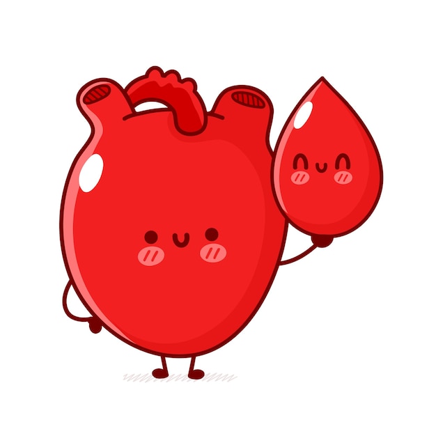 Lindo divertido corazón humano órgano mantenga una gota de sangre