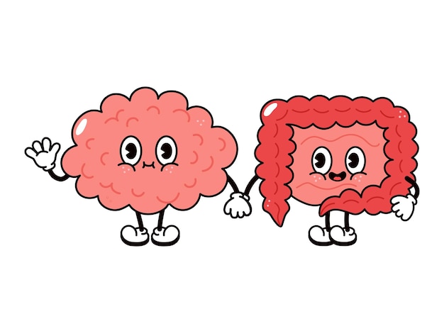 Lindo divertido feliz cerebro e intestinos personaje