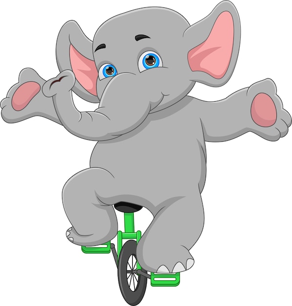 Lindo elefante en bicicleta sobre fondo blanco.