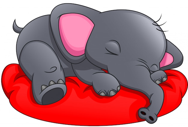 Lindo elefante durmiendo sobre un fondo blanco.