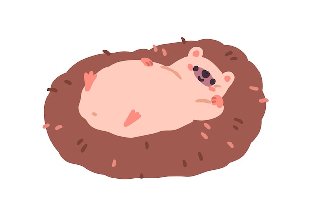 Vector lindo erizo acostado relajándose animales kawaii divertidos y adorables descansando con la barriga hacia arriba personaje de bebé perezoso feliz relajación despreocupada ilustración vectorial plana de niños aislada sobre fondo blanco