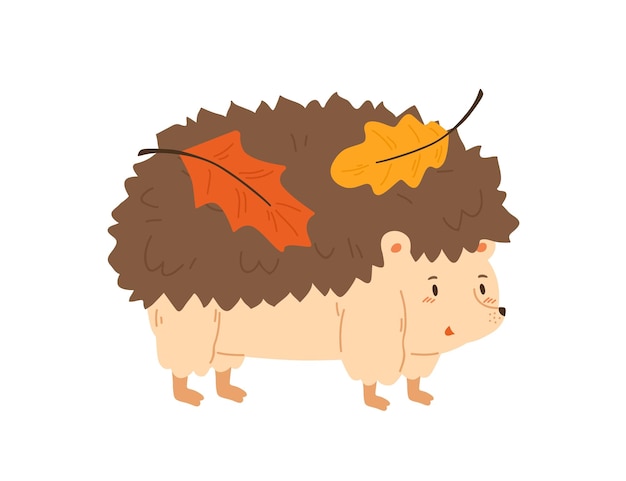 Lindo erizo con hojas coloridas de otoño vector ilustración plana. animal de bosque divertido con hoja en la parte posterior de la aguja aislado en blanco. adorable personaje infantil de pie con follaje de otoño.