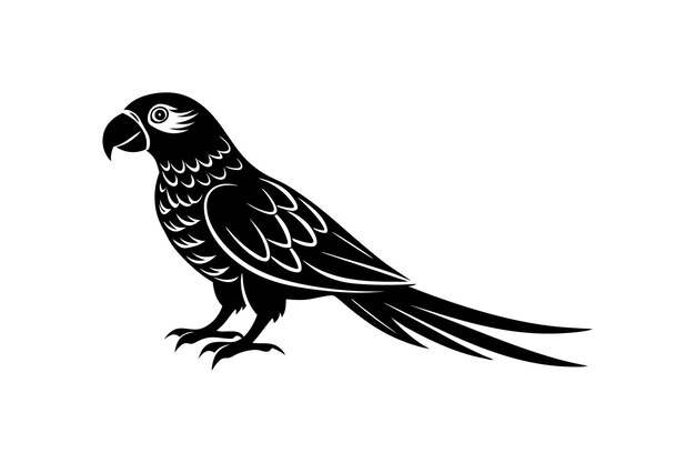 un lindo estilo vectorial de silueta de loro con fondo blanco