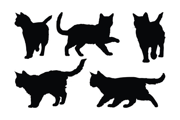 Lindo felino peludo en un conjunto de silueta de fondo blanco vector Gato doméstico doméstico caminando en diferentes posiciones paquete de silueta Silueta de gato negro anónimo Lindo gato oscuro caminando diseño vectorial