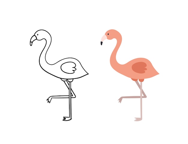 Lindo flamenco dibujado a mano. Ilustración aislada del vector del pájaro. Versión de contorno y color.