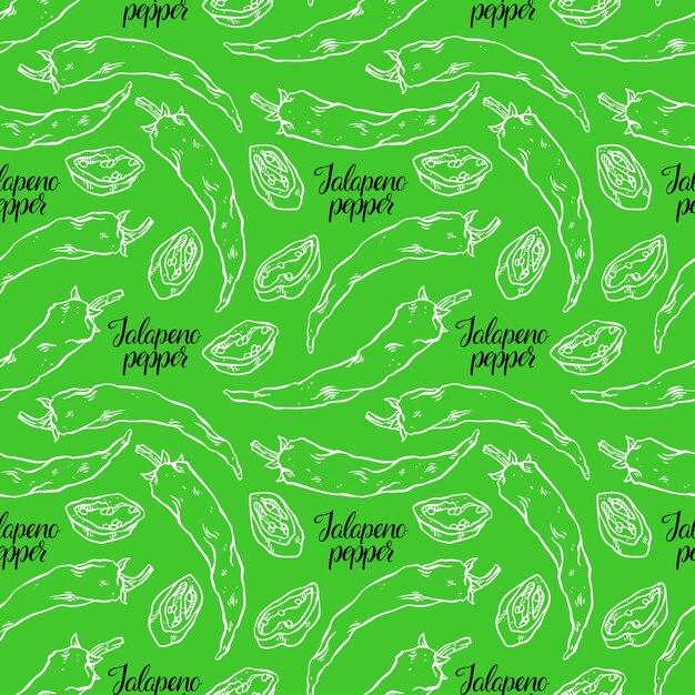 Lindo fondo transparente de pimientos jalapeños. ilustración dibujada a mano
