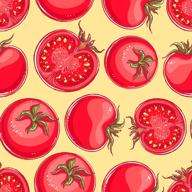 lindo fondo transparente con tomates dibujados a mano
