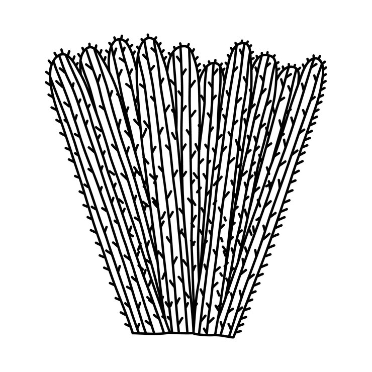 Vector lindo garabato de cactus dibujado a mano de méxico o garabato del desierto del salvaje oeste con contorno vector simple flor de cactus con espinas en estilo de dibujos animados planta exótica espinosa mexicana aislada sobre fondo blanco