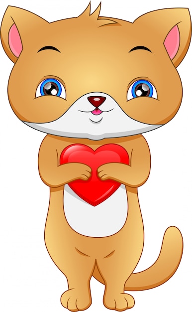 Lindo gato con amor rojo