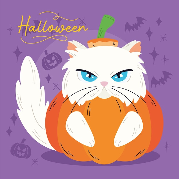 Lindo gato blanco aislado con un disfraz de calabaza de halloween vector