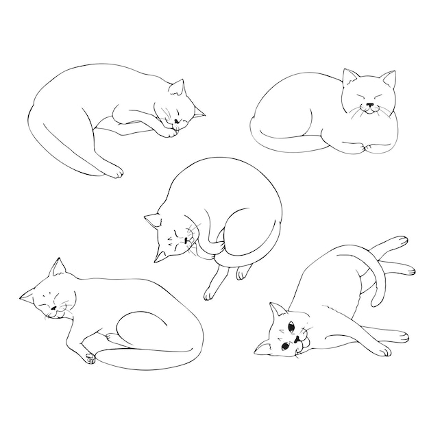 Lindo gato blanco se encuentra en diferentes posiciones Conjunto de posiciones de gato Gato posando Cats Sketch Vector art