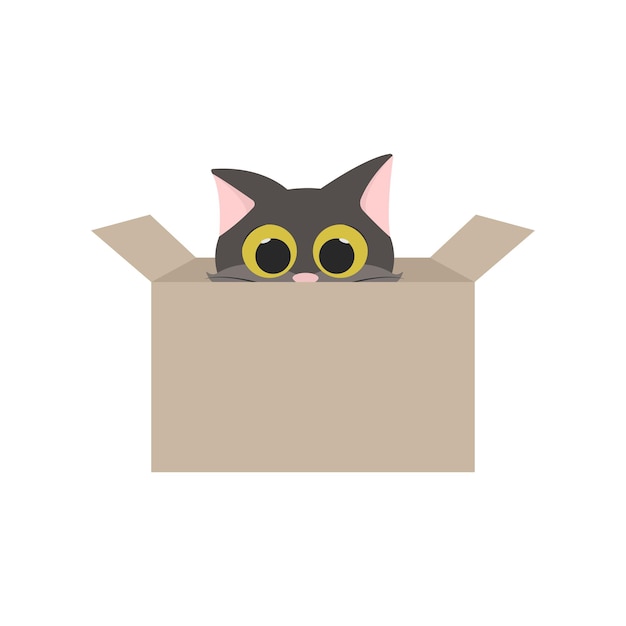 Lindo gato en una caja Vector animal Mascota personaje