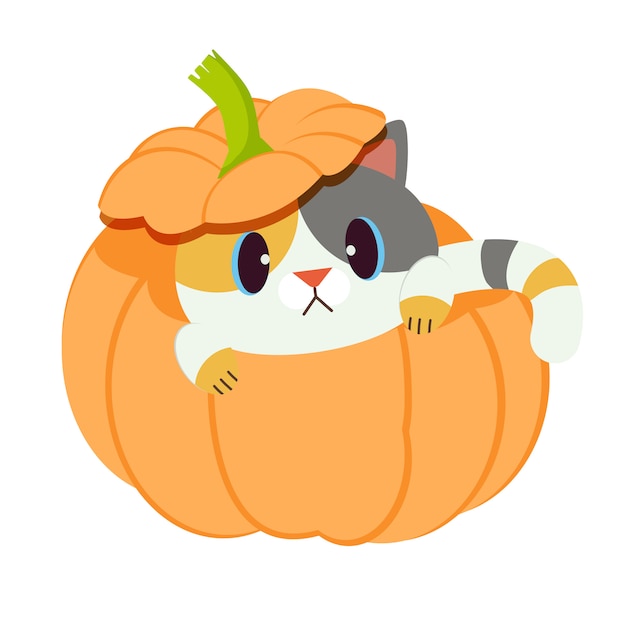 Vector el lindo gato con la calabaza.