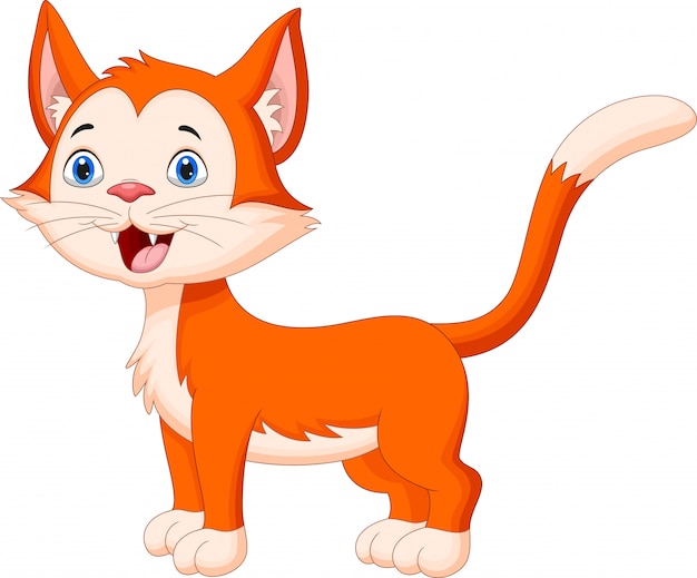Lindo, gato, caricatura