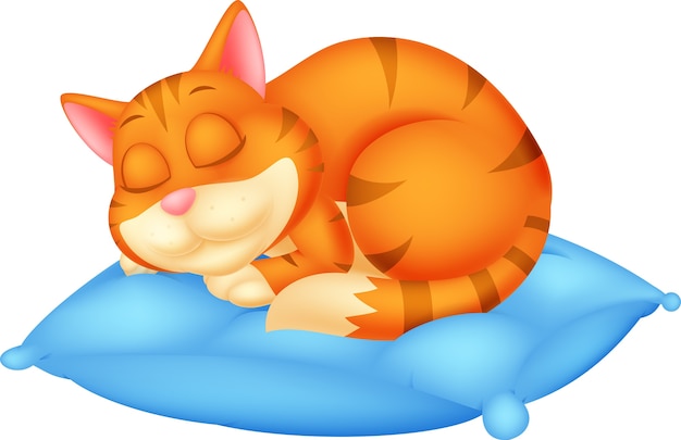 Vector lindo gato de dibujos animados durmiendo