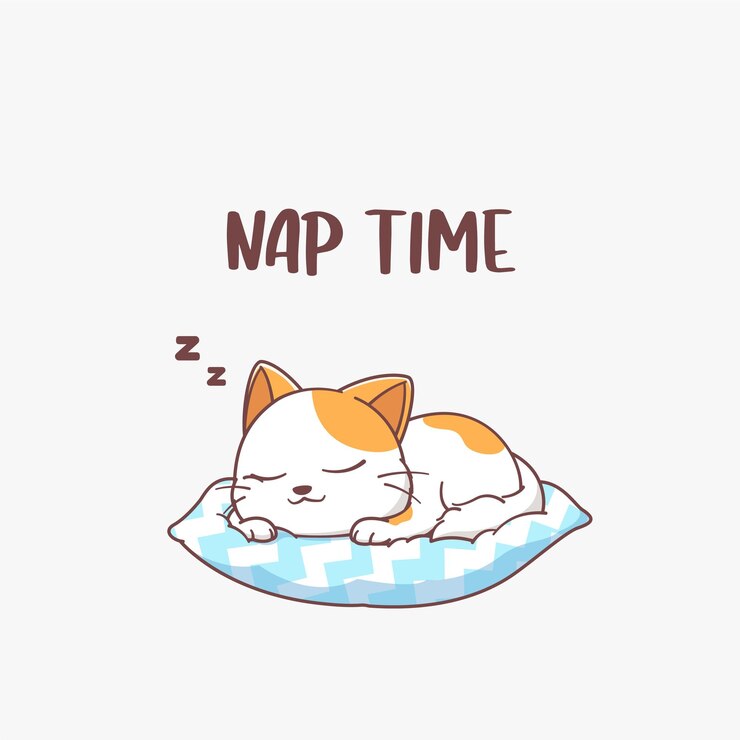 Lindo Gato Ilustración Vectorial Hora De La Siesta