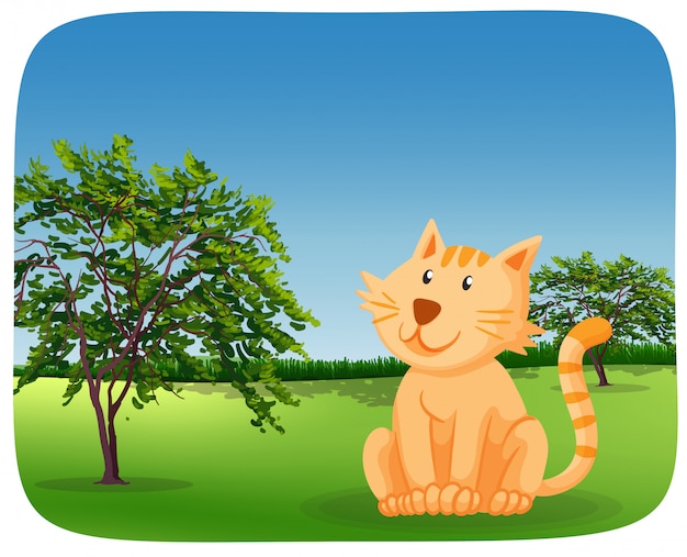 Un lindo gato en la naturaleza.