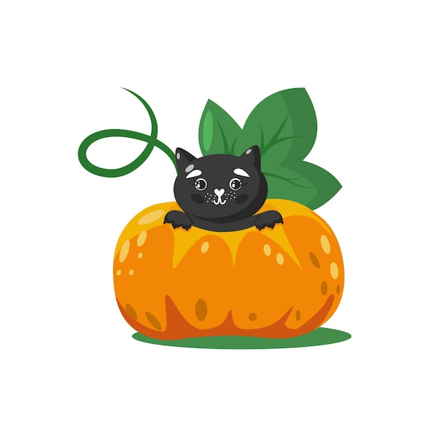 Lindo gato negro de halloween dentro de gran calabaza adorable personaje animal