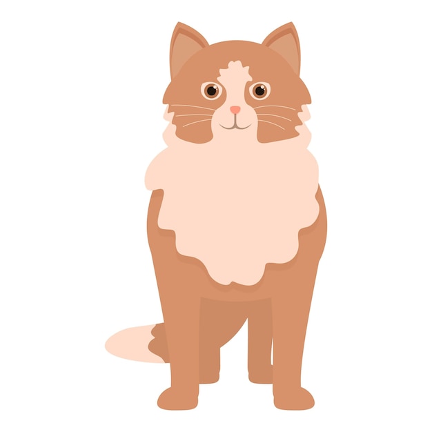 Un lindo gato tabby de pie sobre un fondo blanco