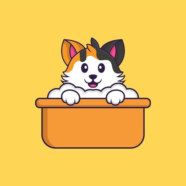 Lindo gato tomando un baño en la bañera. Concepto de dibujos animados de animales aislado. Estilo de dibujos animados plana