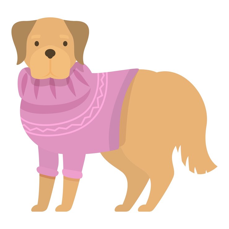 Vector el lindo golden retriever está de pie mientras lleva un suéter rosa
